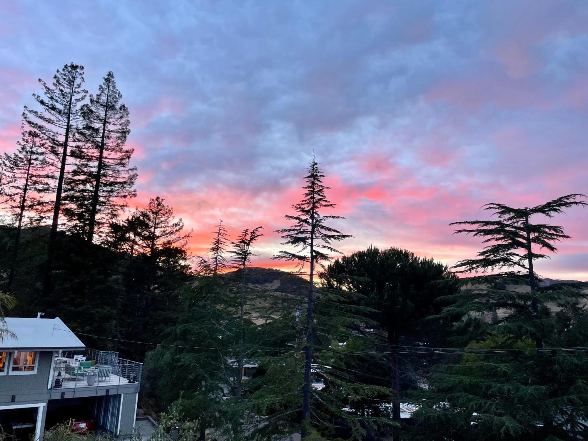 Luxury Suite With Views - San Rafael, Gateway To Sf & Wine Country ภายนอก รูปภาพ