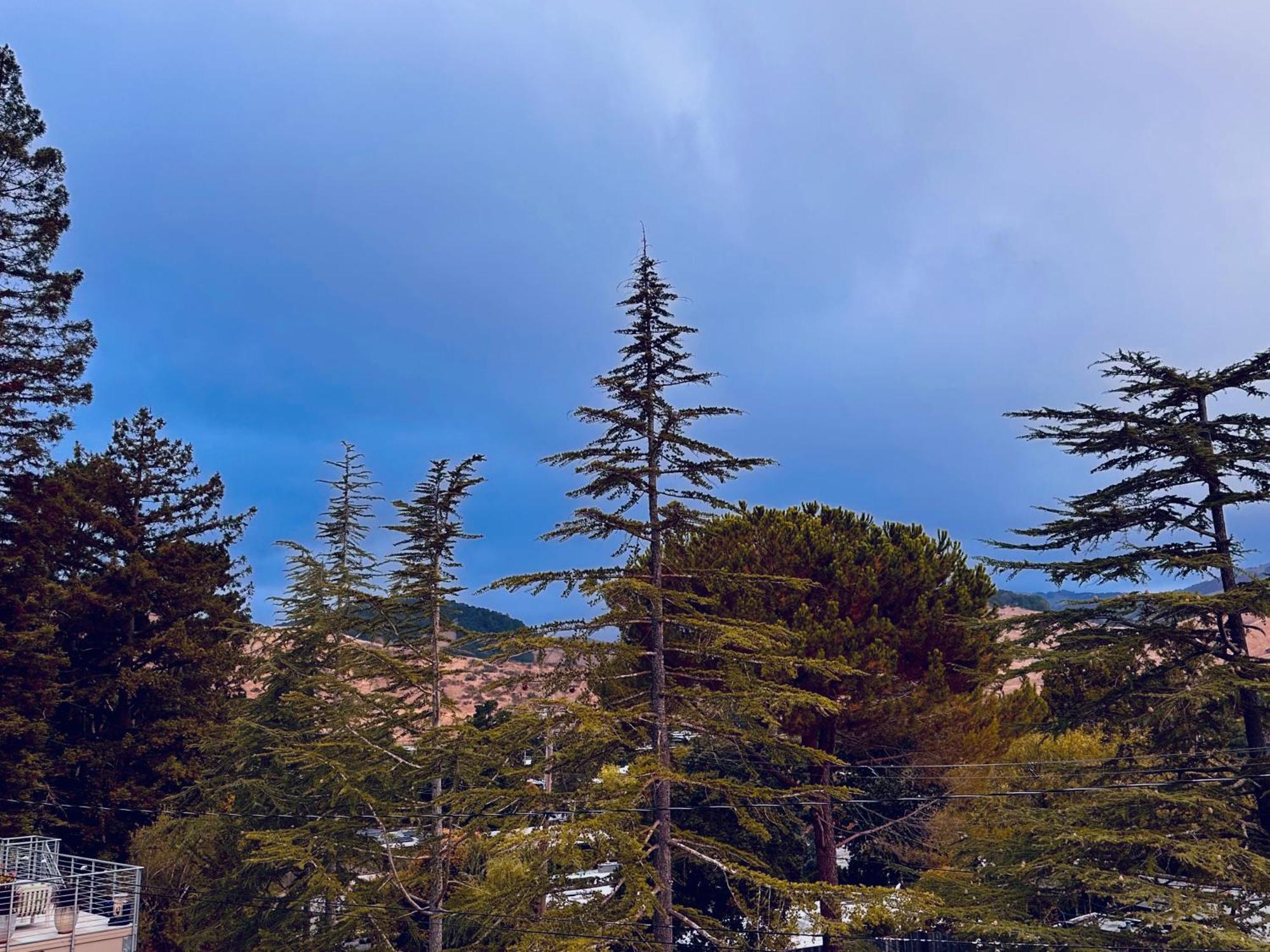 Luxury Suite With Views - San Rafael, Gateway To Sf & Wine Country ภายนอก รูปภาพ